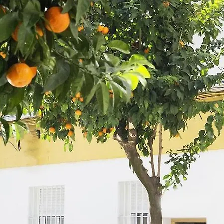 Apartmán Costasol Córdoba